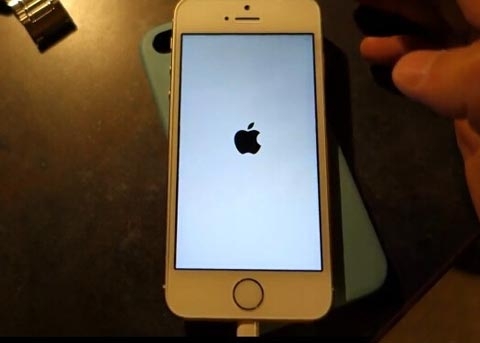 iPhone出现白苹果怎么办
