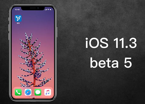 iOS11.3 beta5发布：为提升iPhone X速度而来