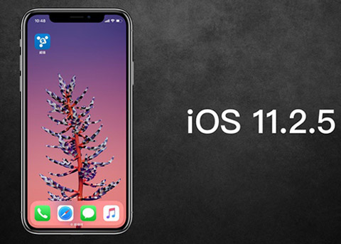 苹果关闭iOS11旧版验证 大部分机型只能安装iOS11.2.5