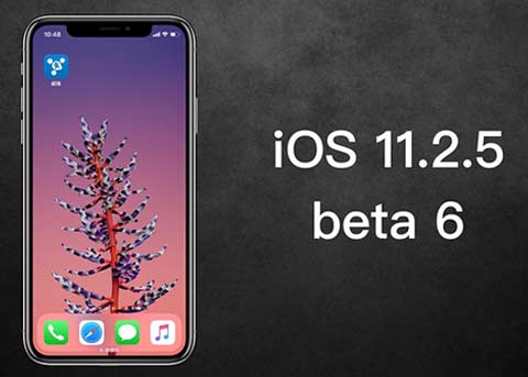 iOS11.2.5 beta6发布：修复恶意链接导致设备卡死的问题