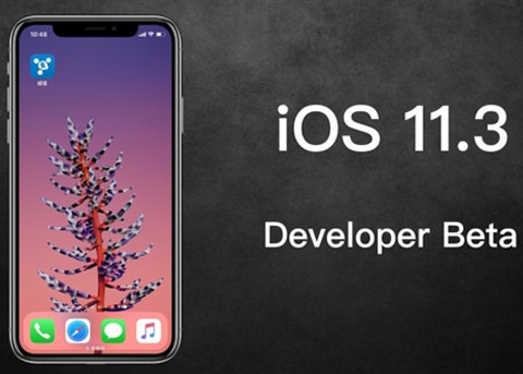 iOS11.3 Beta2发布：降频开关终于来了！