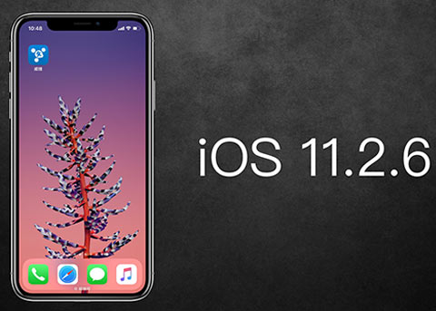 苹果发布iOS11.2.6，修复特殊字符导致的闪退问题