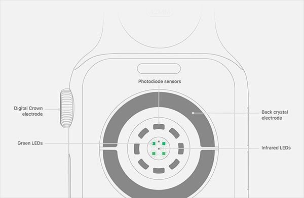 Apple Watch Series 4 可以更准确测量心率