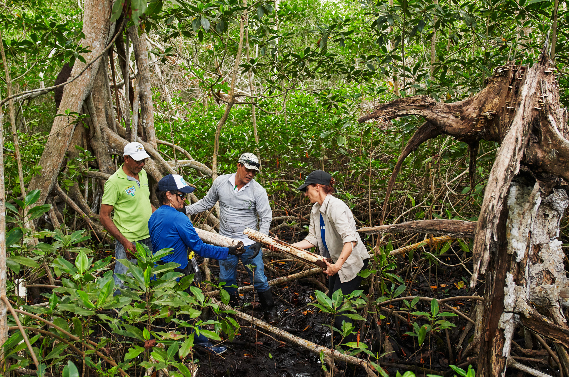 Apple_commits-100-percent-carbon-neutrality-for-supply-chain-and-products-by-2030-bogota-mangroves_07212020.jpg