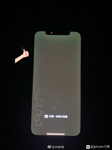 部分iPhone 12用户称屏幕“发绿” 苹果称正在调查
