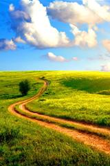 iPad游戏 软件 iPad mini iPad4 iPad3游戏 软件