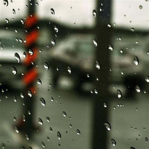 雨水,雨景,春雨,水滴,风景,彩色