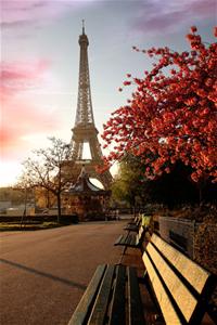 艾菲尔铁塔, 景色, 巴黎景色, 巴黎, 法国, 壮观, 风光,长椅,风景
