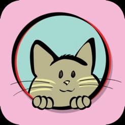 Cat Lady - Card Game